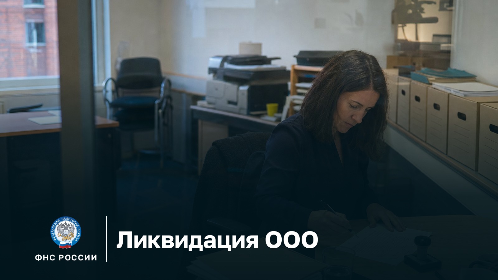 Ликвидация ООО: ликвидатор сверяет опись архивных коробок перед сдачей документов в налоговую